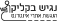הנגשת אתרים